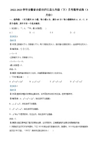 安徽省合肥市庐江县九年级下学期3月月考数学试题（解析版）-A4