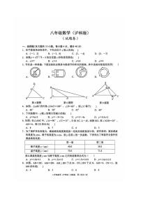安徽省淮北市五校联考2024-2025学年八年级上学期1月期末数学试题