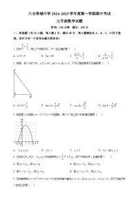 安徽省六安皋城中学2024--2025学年九年级上学期期中数学测试卷（原卷版）-A4