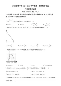 安徽省六安皋城中学2024--2025学年九年级上学期期中数学测试卷（原卷版）-A4