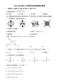 安徽省合肥市瑶海区八年级上学期数学期末统考试题（原卷版）-A4