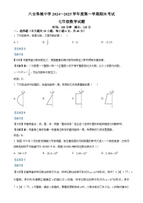 安徽省六安市金安区皋城中学上学期七年级数学期末考试卷（解析版）-A4