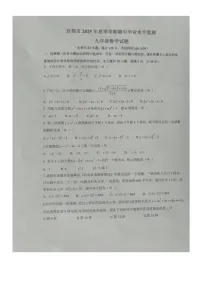 湖北省宜昌市宜都市2025-2026学年九年级上学期11月期中数学试题