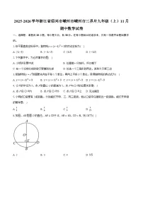2025-2026学年浙江省绍兴市嵊州市嵊州市三界片九年级（上）11月期中数学试卷