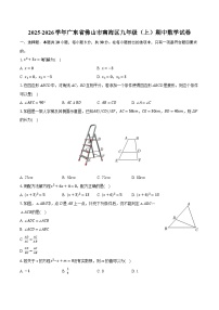 2025-2026学年广东省佛山市南海区九年级（上）期中数学试卷