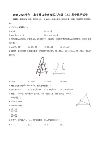 2025-2026学年广东省佛山市南海区九年级（上）期中数学试卷
