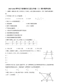2025-2026学年辽宁省锦州市义县九年级（上）期中数学试卷-自定义类型