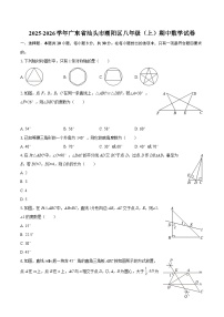 2025-2026学年广东省汕头市潮阳区八年级（上）期中数学试卷-自定义类型