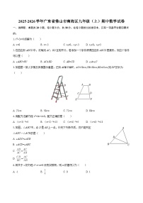 2025-2026学年广东省佛山市南海区九年级（上）期中数学试卷-自定义类型