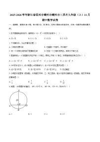 2025-2026学年浙江省绍兴市嵊州市嵊州市三界片九年级（上）11月期中数学试卷-自定义类型