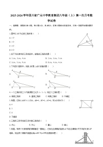 2025-2026学年四川省广元中学教育集团八年级（上）第一次月考数学试卷-自定义类型