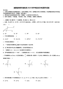 福建省泉州市德化县2025年中考适应性考试数学试题含解析
