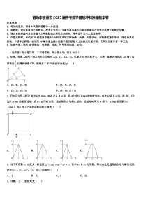青岛市胶州市2025届中考数学最后冲刺浓缩精华卷含解析