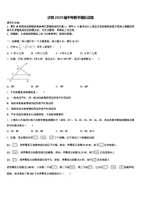 涉县2025届中考数学模拟试题含解析