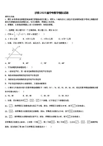 涉县2025届中考数学模拟试题含解析