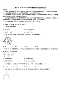 肥东县2024-2025学年中考数学适应性模拟试题含解析