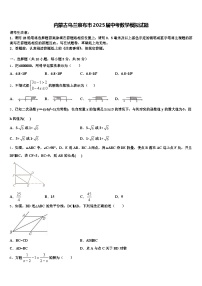 内蒙古乌兰察布市2025届中考数学模拟试题含解析