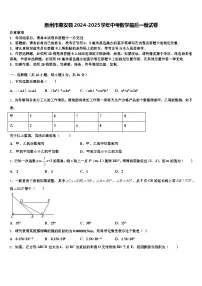 泉州市惠安县2024-2025学年中考数学最后一模试卷含解析