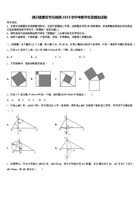四川省雅安市石棉县2025年中考数学全真模拟试题含解析