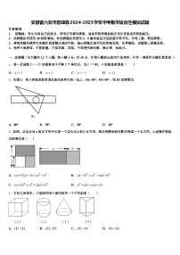 安徽省六安市霍邱县2024-2025学年中考数学适应性模拟试题含解析