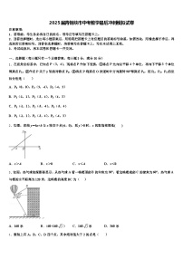 2025届青铜峡市中考数学最后冲刺模拟试卷含解析