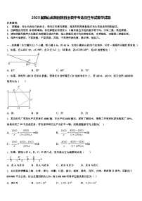 2025届巍山彝族回族自治县中考适应性考试数学试题含解析