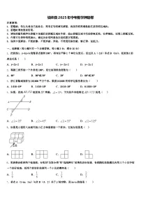 铁岭县2025年中考数学押题卷含解析