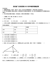 四川省广元市旺苍县2025年中考数学四模试卷含解析