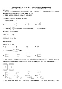 齐齐哈尔市泰来县2024-2025学年中考适应性考试数学试题含解析