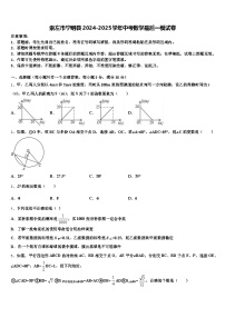 崇左市宁明县2024-2025学年中考数学最后一模试卷含解析