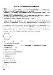 狮子山区2025届中考数学对点突破模拟试卷含解析
