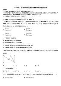 2025年广东省深圳市光明区中考数学全真模拟试卷含解析