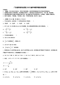 广东省珠海市金湾区2025届中考数学模拟预测试卷含解析