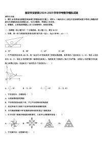 保定市安新县2024-2025学年中考数学模拟试题含解析