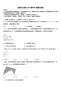 温州市文成县2025届中考一模数学试题含解析