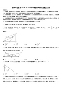 丽水市龙泉市2024-2025学年中考数学对点突破模拟试卷含解析
