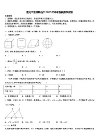 黑龙江省双鸭山市2025年中考五模数学试题含解析