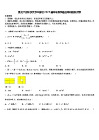 黑龙江省哈尔滨市平房区2025届中考数学最后冲刺模拟试卷含解析