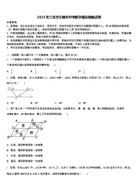 2025年三亚市文昌市中考数学模拟精编试卷含解析