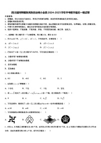 四川省阿坝藏族羌族自治州小金县2024-2025学年中考数学最后一模试卷含解析
