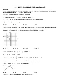 2025届武汉市洪山区初中数学毕业考试模拟冲刺卷含解析