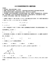 2025年池州市贵池区中考一模数学试题含解析