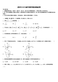 虎林市2025届中考数学模拟精编试卷含解析