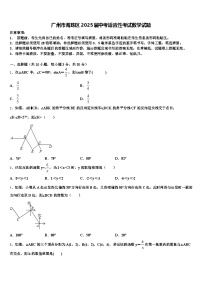 广州市海珠区2025届中考适应性考试数学试题含解析