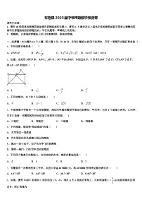布拖县2025届中考押题数学预测卷含解析