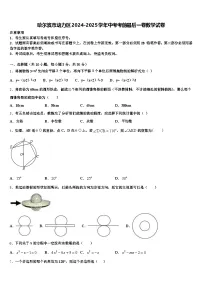 哈尔滨市动力区2024-2025学年中考考前最后一卷数学试卷含解析