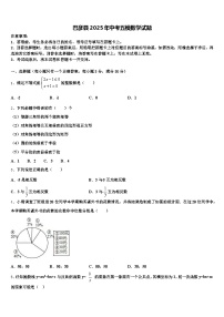 巴彦县2025年中考五模数学试题含解析