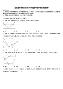 湖北省孝感市安陆市2025届中考数学模拟预测试卷含解析