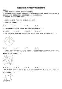 海南省三亚市2025届中考押题数学预测卷含解析
