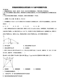 青海省果洛藏族自治州甘德县2025届中考四模数学试题含解析